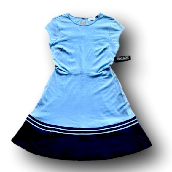 New York & Company Dresses & Skirts - NY&Co Mixed Blue A-line Dress 100% Cotton Small Striped